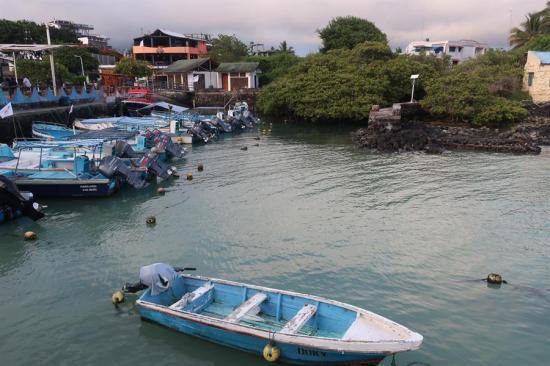 Pesca y sostenibilidad, un agrio debate que llega a las Islas Galápagos