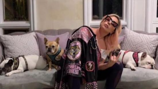 Lady Gaga recupera ilesos a los dos perros que le habían robado