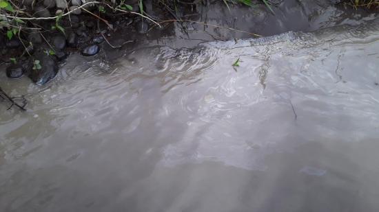 Kichwas exigen solución a derrames de petróleo en la Amazonía ecuatoriana