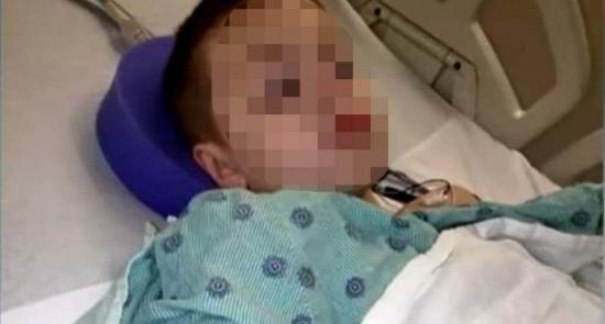 Niño de 9 años es llevado a hospital por mordedura de tiburon en Miami Beach